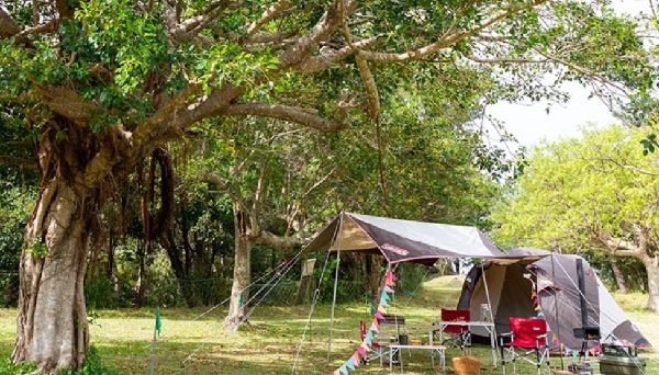 沖縄県 県民の森キャンプ場